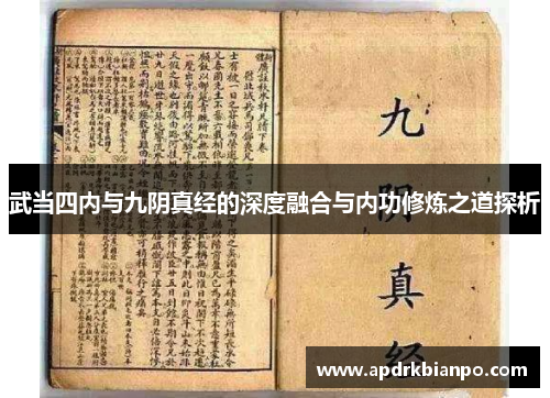 武当四内与九阴真经的深度融合与内功修炼之道探析